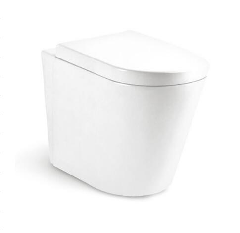 Wall Hung Toilet T8215